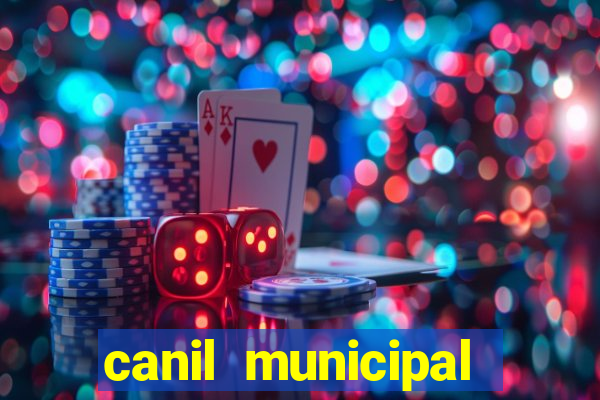 canil municipal porto alegre